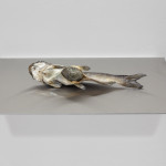 Luca Francesconi, End of the rivers, catfish, stone, 60x35x25, 2014, photo Rossetti, courtesy Fluxia